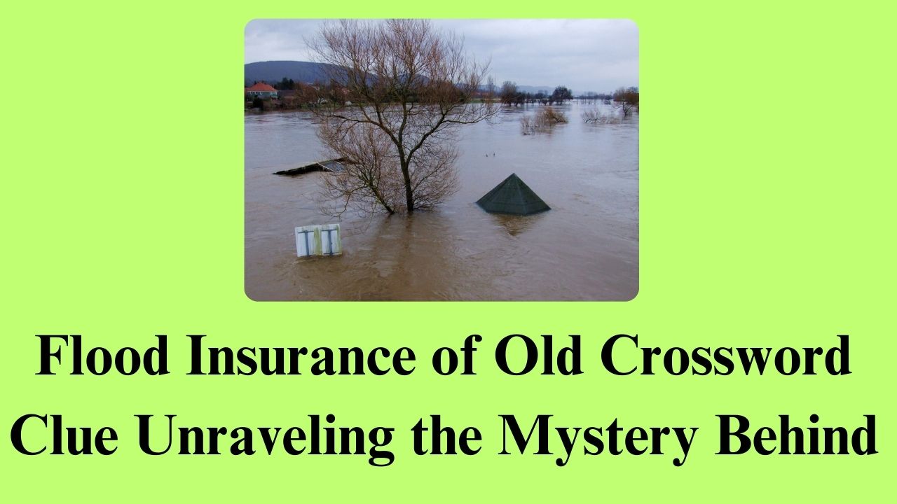 Flood Insurance of Old Crossword Clue Unraveling the Mystery Behind