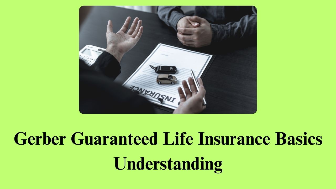 Gerber Guaranteed Life Insurance Basics Understanding